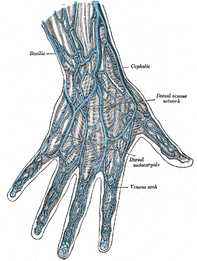 Click to enlarge image